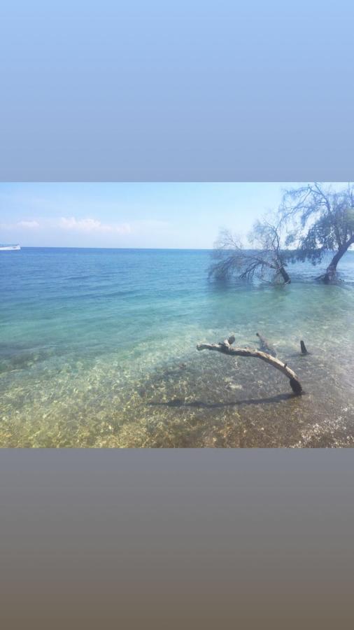 Maleo Moyo Hotel & Dive Resort Moyo Island Eksteriør billede