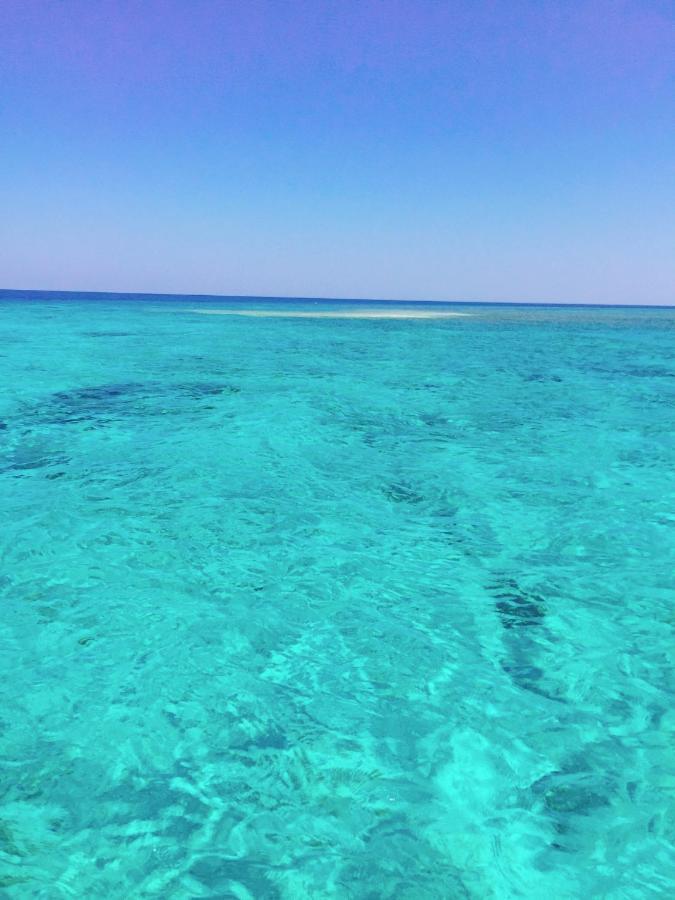 Maleo Moyo Hotel & Dive Resort Moyo Island Eksteriør billede