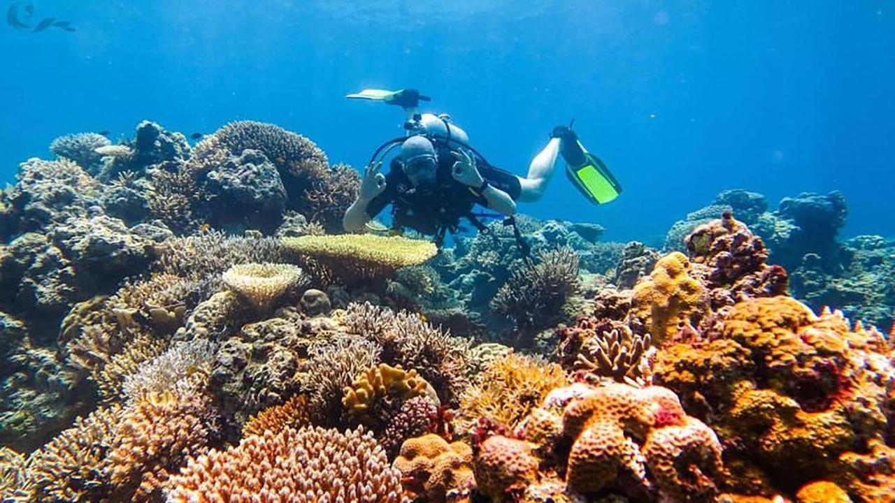 Maleo Moyo Hotel & Dive Resort Moyo Island Eksteriør billede